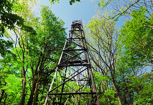 癒しの森の中に立つ源泉櫓